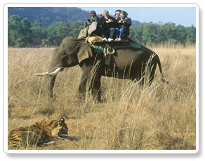 Corbett Wildlife Safari