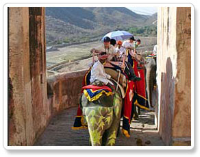 Elephant Safari, Jaipur