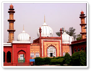 jama mosque - largest mosque in asia